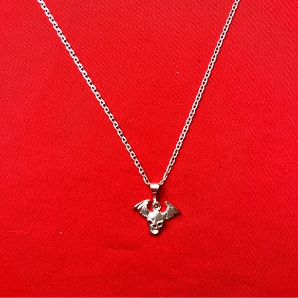 The Unbranded Brand Jewelry - Silver Winged Skull Pendant and‎ chain Necklace